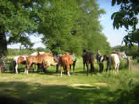 randonnée à cheval randonnée à cheval